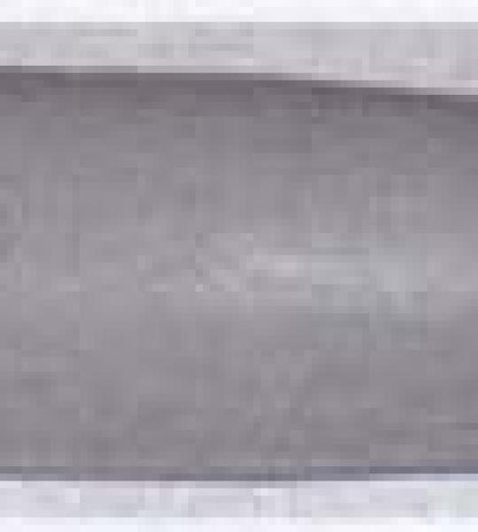 Ammortizzatore anteriore per Vespa 160 GS-SS - 151372