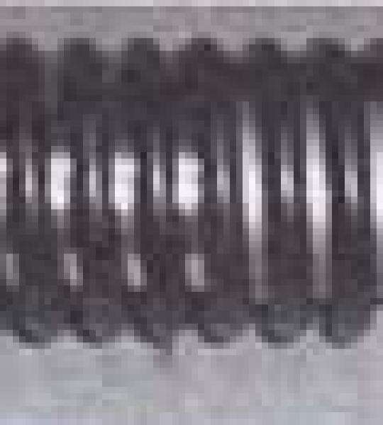 Ammortizzatore anteriore per Vespa ET2-ET4 - 562444