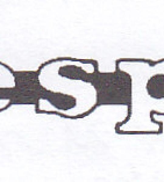 Dicitura VESPA per Piaggio Vespa dal 1981 - 72112