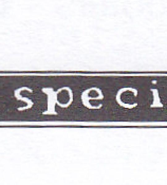 Tarhetta posteriore 50 SPECIAL - 72115