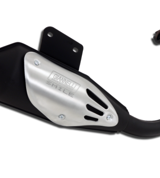 Silenziatore Liberty 50 4T - P31601Y
